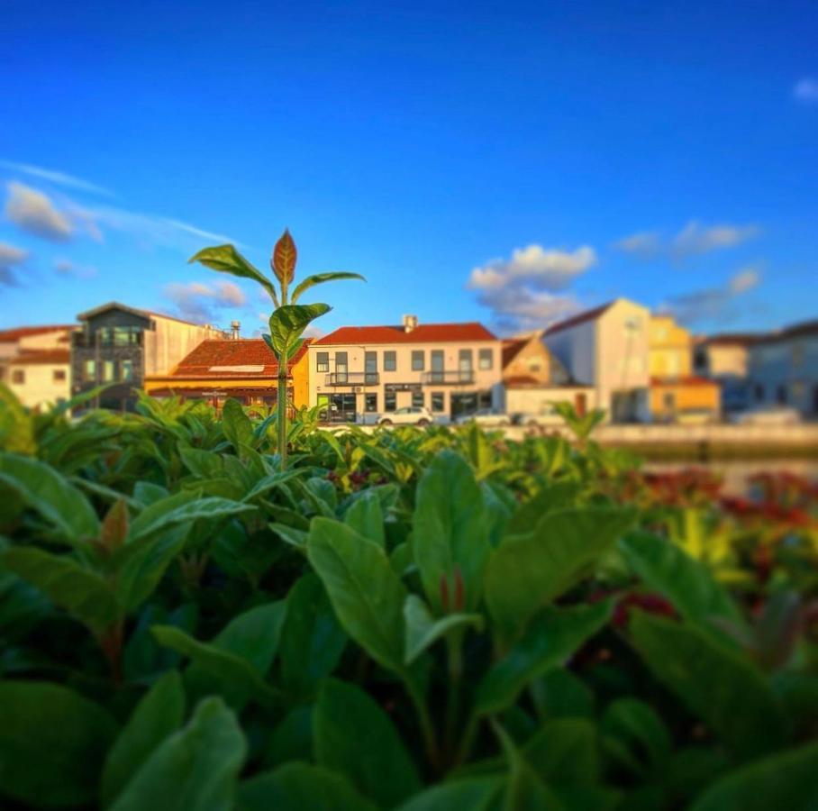 Up Tree Nature Rooms Aveiro Exterior photo
